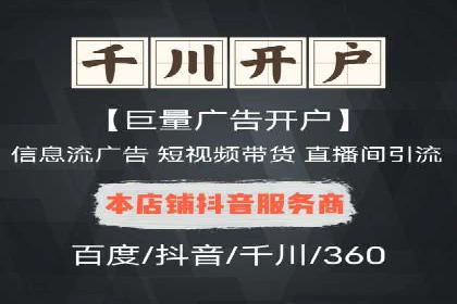SEM广告投放的精准定位与优化案例